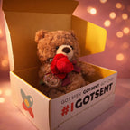 Teddy bear with a red heart and bow in a box labeled 'GOTSENT' against a blurred light background.