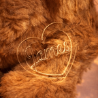 Close-up of a brown plush toy with 'James' personalised love tag on it.