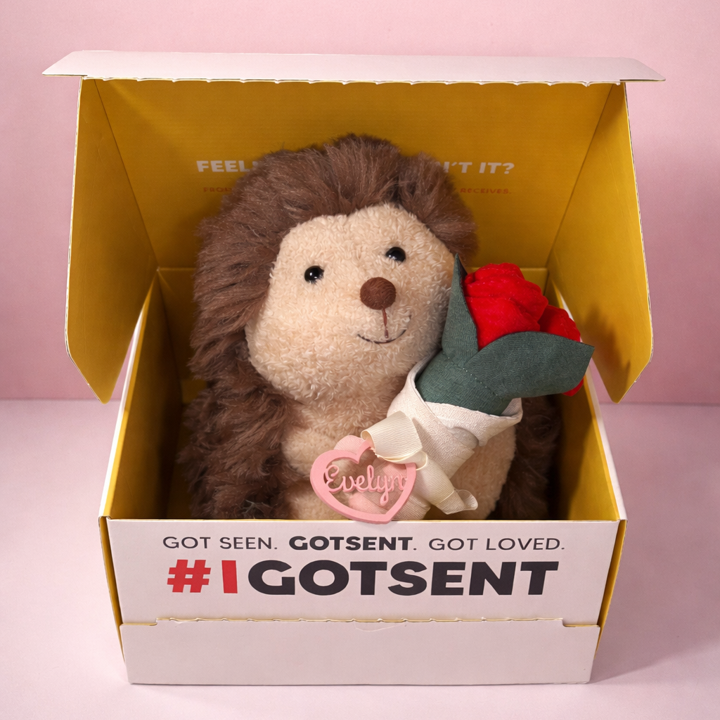 Stuffed hedgehog toy with a rose in a box labeled '#I GOTSENT' on a pink background